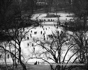 Skating on Boston Public Garden